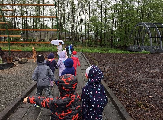 Gr IV Wycieczka do Parku Ewolucji