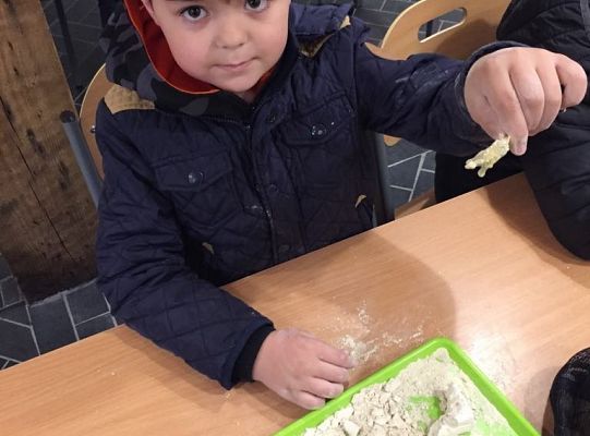 Gr IV Wycieczka do Parku Ewolucji