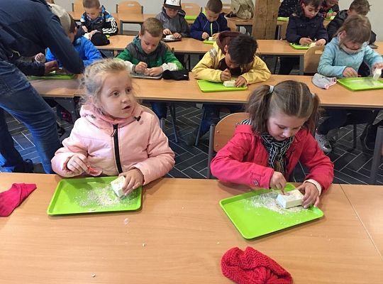 Gr IV Wycieczka do Parku Ewolucji