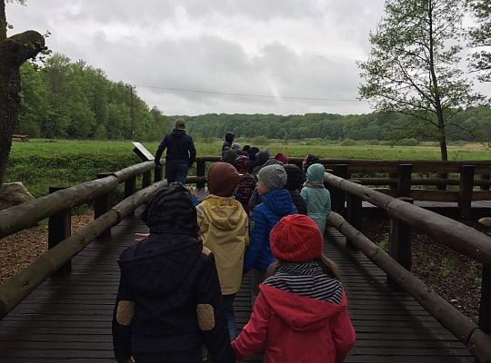 Gr IV Wycieczka do Parku Ewolucji