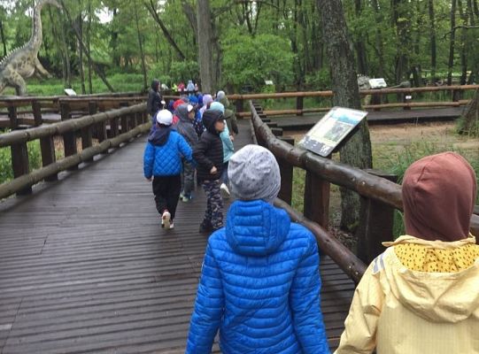 Gr IV Wycieczka do Parku Ewolucji