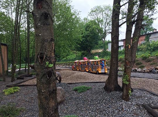 Gr IV Wycieczka do Parku Ewolucji