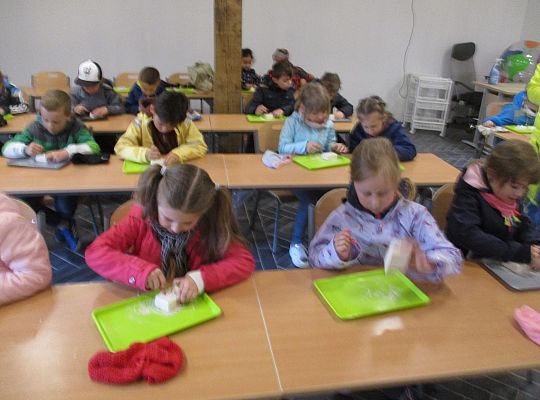 Gr IV Wycieczka do Parku Ewolucji