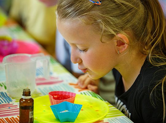 Gr IV Warsztaty mydlarskie