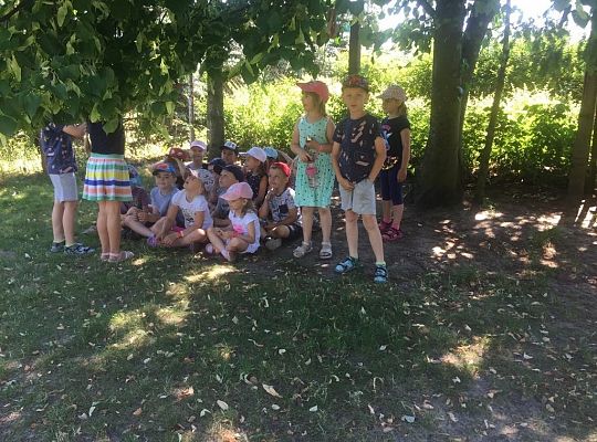 Gr IV Ostatnie wspólne chwile przed wakacjami