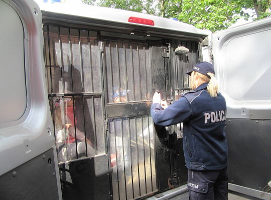 Wakacyjne spotkanie z Policją-bezpieczne wakacje