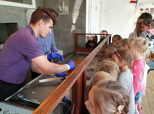 Gr IV Wyjad do Manufaktury słodyczy w Łebie