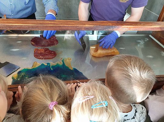 Gr IV Wyjad do Manufaktury słodyczy w Łebie