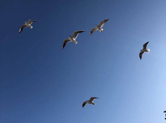 Gr IV Wyjad do Manufaktury słodyczy w Łebie