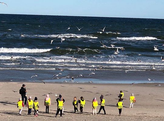 Gr IV Wyjad do Manufaktury słodyczy w Łebie