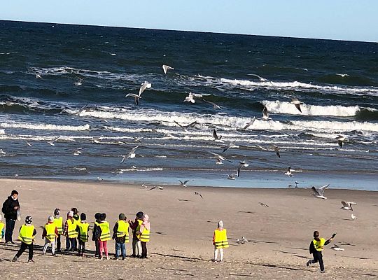 Gr IV Wyjad do Manufaktury słodyczy w Łebie