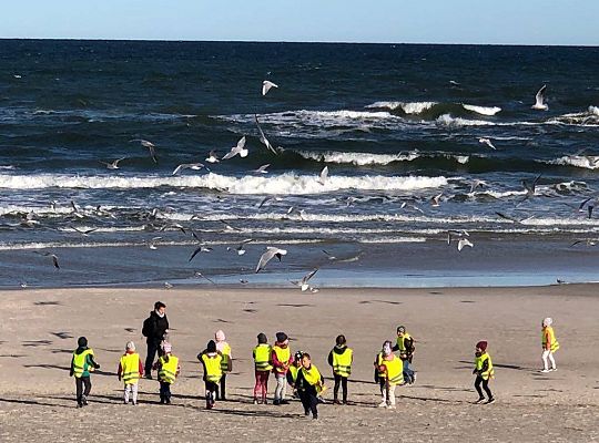 Gr IV Wyjad do Manufaktury słodyczy w Łebie