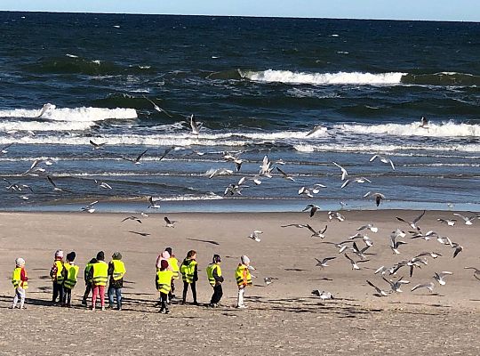 Gr IV Wyjad do Manufaktury słodyczy w Łebie
