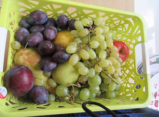 gr II Poznajemy owoce