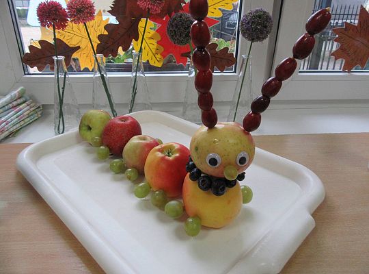 gr II Poznajemy owoce