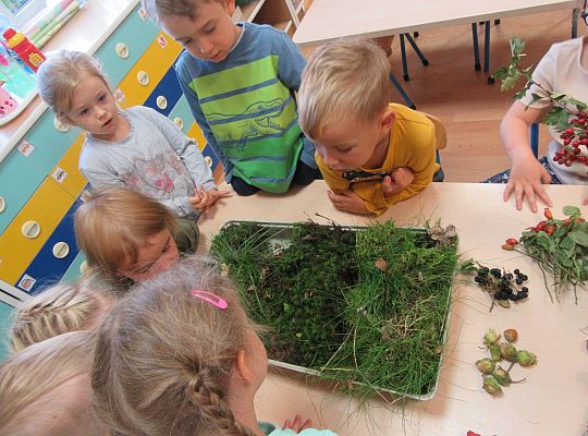 gr II Wzbogacanie kącika przyrody