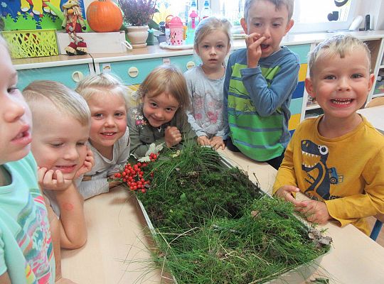 gr II Wzbogacanie kącika przyrody
