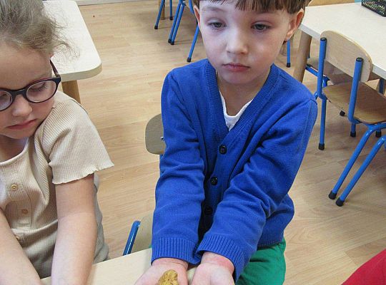 gr II Wzbogacanie kącika przyrody