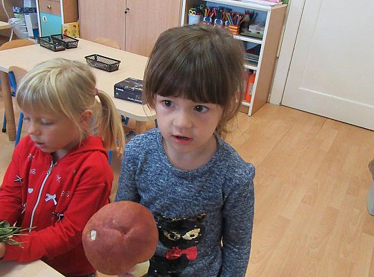 gr II Wzbogacanie kącika przyrody