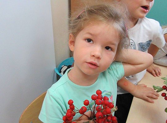 gr II Wzbogacanie kącika przyrody