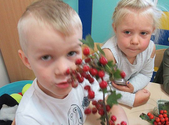 gr II Wzbogacanie kącika przyrody