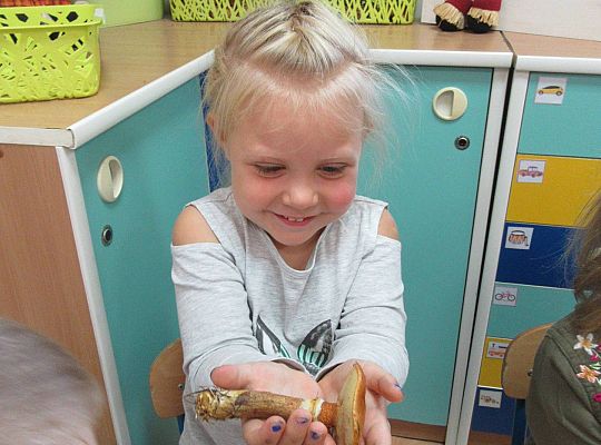 gr II Wzbogacanie kącika przyrody