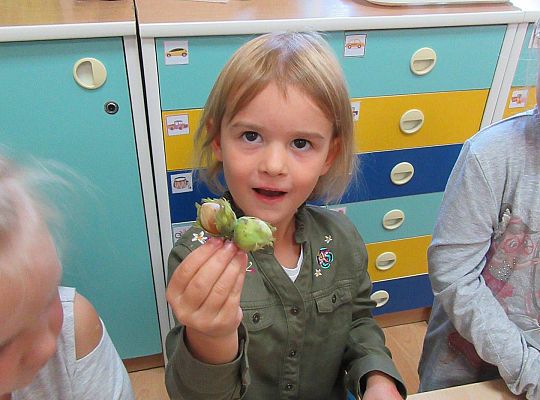 gr II Wzbogacanie kącika przyrody