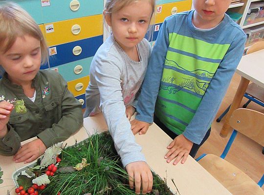 gr II Wzbogacanie kącika przyrody