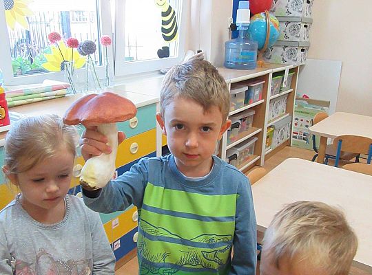 gr II Wzbogacanie kącika przyrody