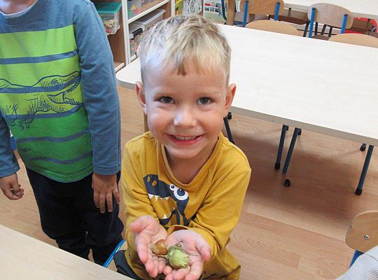 gr II Wzbogacanie kącika przyrody