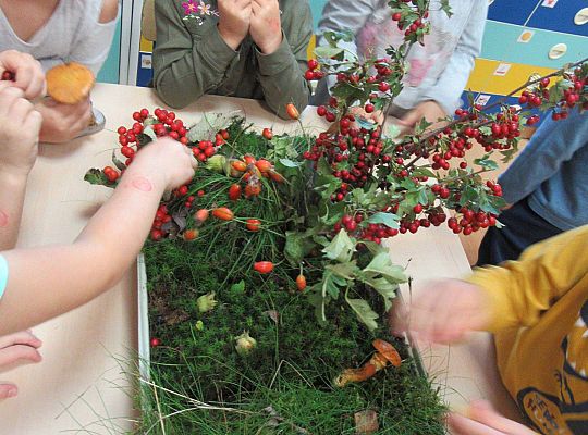 gr II Wzbogacanie kącika przyrody