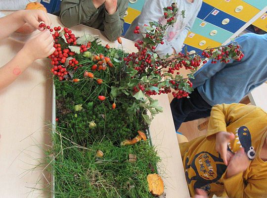 gr II Wzbogacanie kącika przyrody