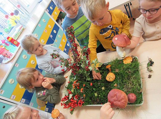 gr II Wzbogacanie kącika przyrody