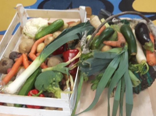 GR III Stworki - potworki