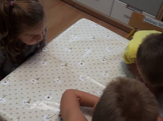 GR III Stworki - potworki