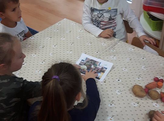 GR III Stworki - potworki