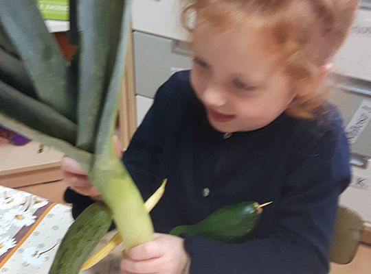 GR III Stworki - potworki