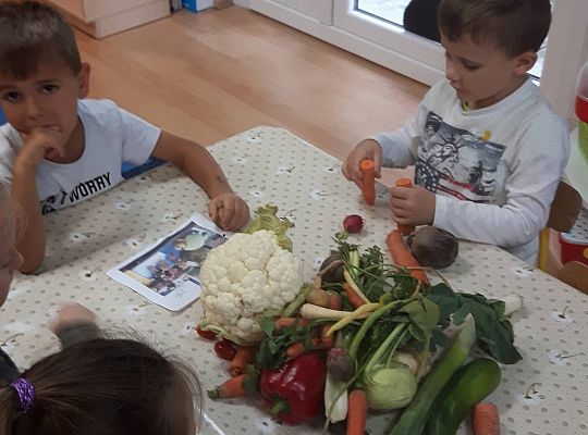 GR III Stworki - potworki