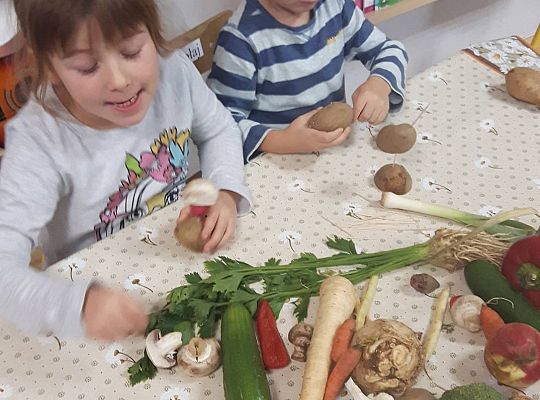 GR III Stworki - potworki