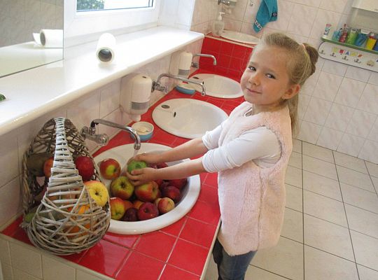 Gr IV Dary ogrodu i sadu