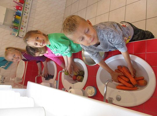 Gr IV Dary ogrodu i sadu