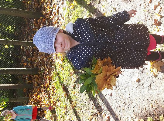 Gr III zabawy jesienne