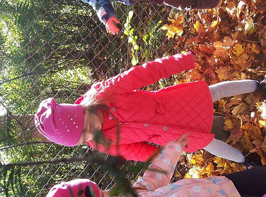 Gr III zabawy jesienne