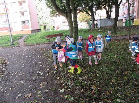 Gr II Jesienny spacer do parku