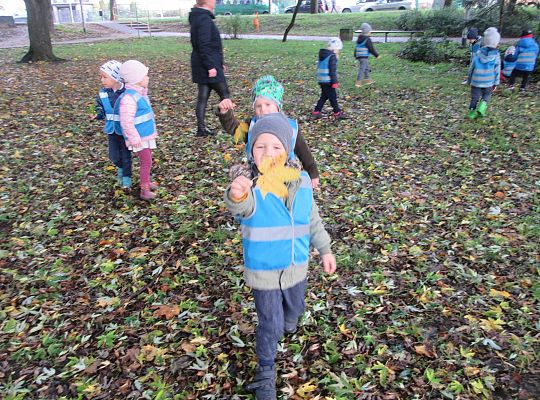 Gr II Jesienny spacer do parku