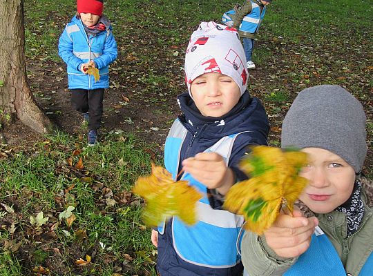 Gr II Jesienny spacer do parku