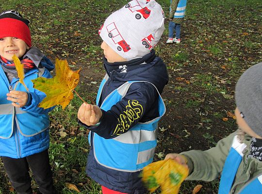 Gr II Jesienny spacer do parku