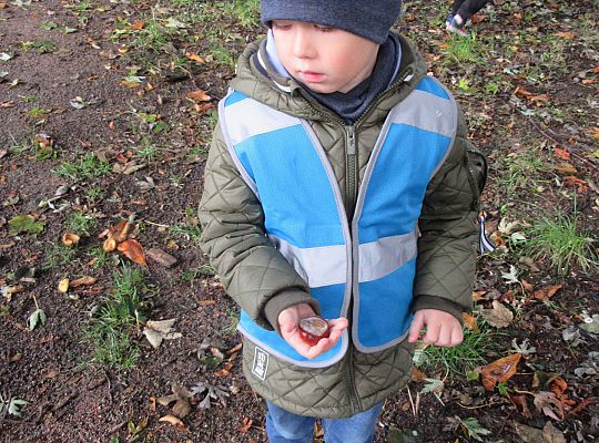 Gr II Jesienny spacer do parku