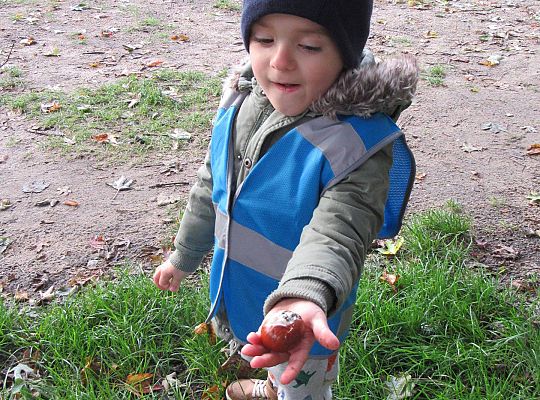 Gr II Jesienny spacer do parku