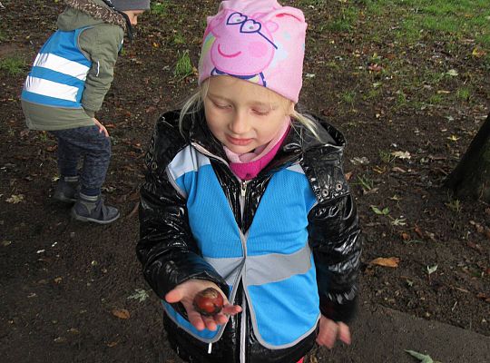 Gr II Jesienny spacer do parku